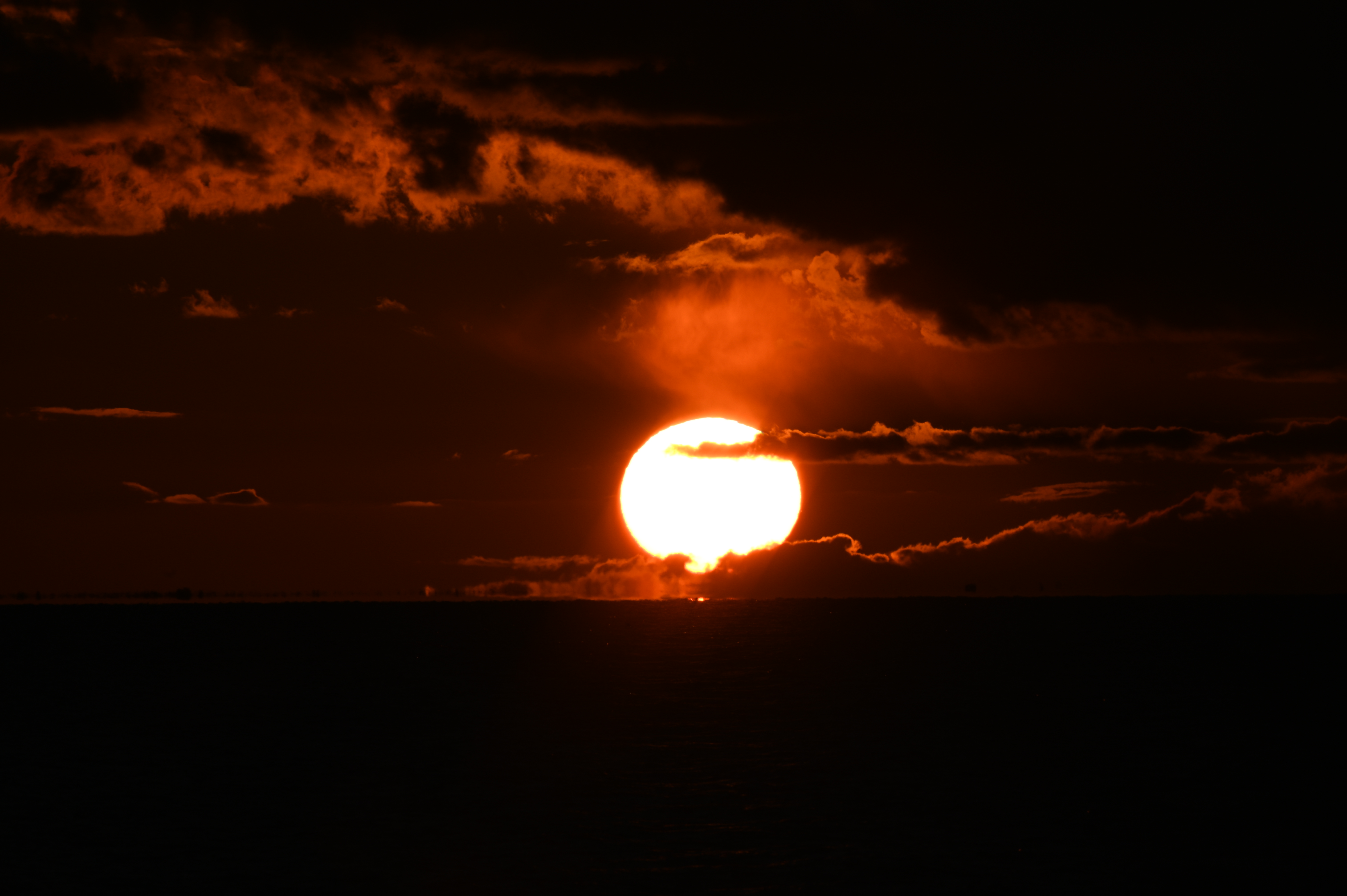 2025/10/18 - walk/DSC_0456.JPG